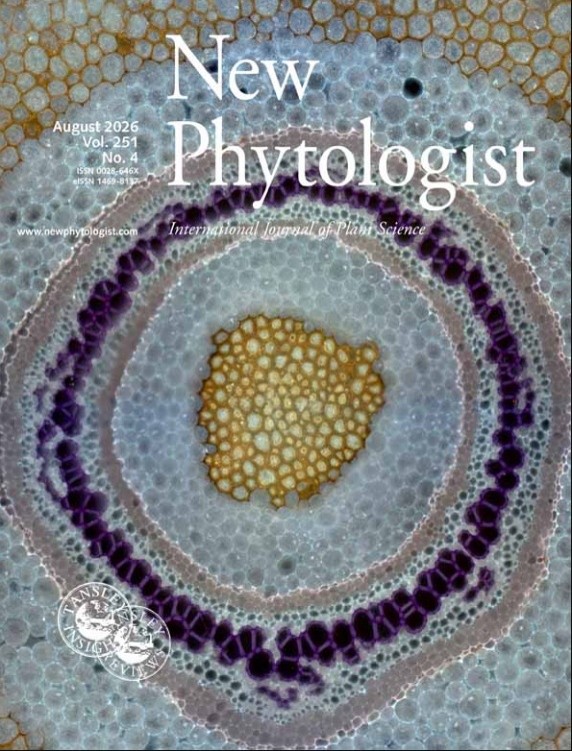 New Phytologist圖片